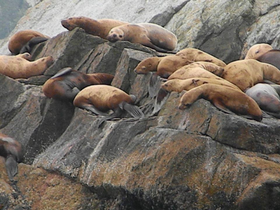 skipcox5's tweet image. 