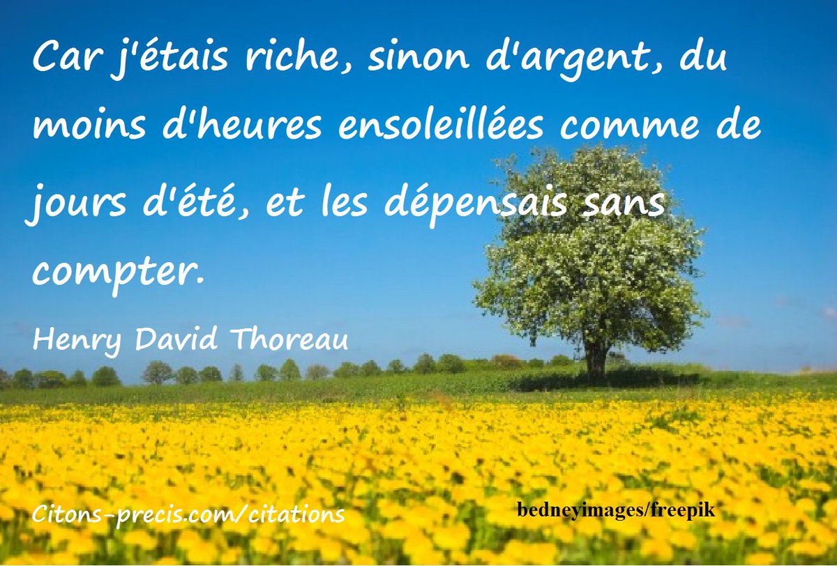 1001 Citations Com Citation D Henry David Thoreau Les Jours Ensoleilles L Ete Et La Richesse Categorie Aphorismes
