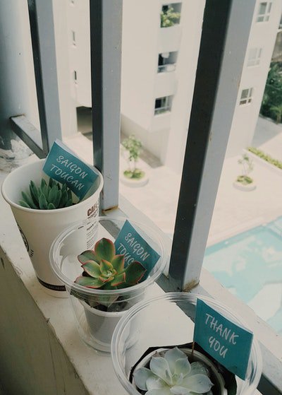 ChezMyloush's tweet photo. Photo By Tiên Thuỷ | Unsplash https://t.co/JXio9Gu9M4