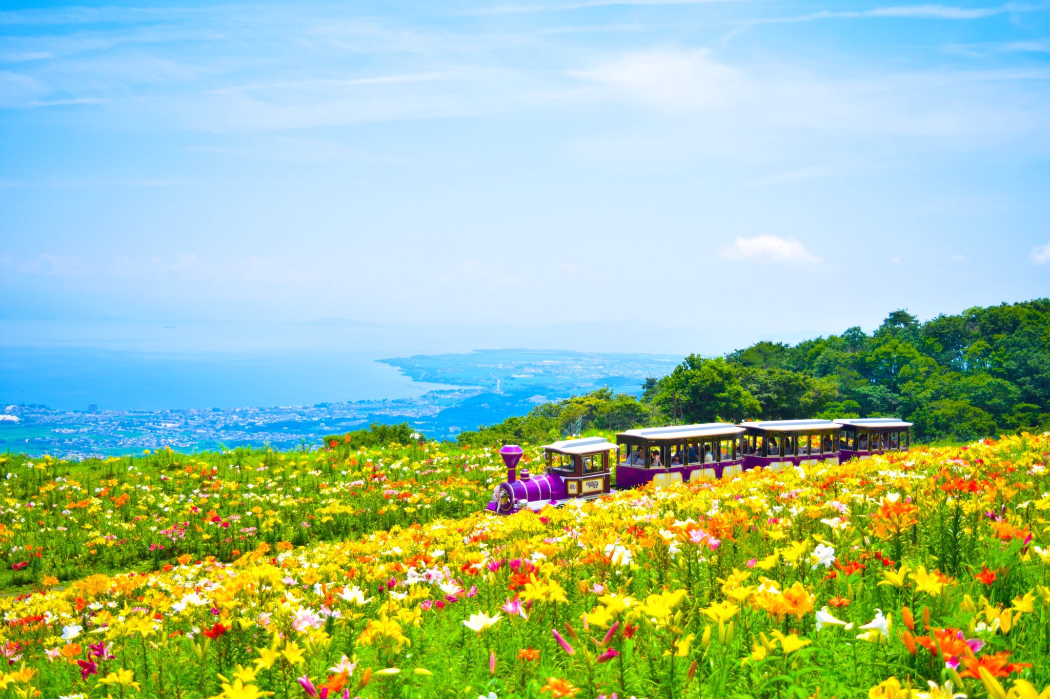 サ 箱館山ゆり園 今年もめっちゃ天気よかった 滋賀 箱館山 びわこ箱館山ゆり園 ゆり園 Photo Phorography Nikon ファインダーの越しの私の世界 1mmでもいいなと思ったらrt サ 箱館山ゆり園 今年もめっちゃ天気よかった 滋賀 箱館山 びわこ箱館山ゆり園 ゆり園 Photo Phorography Nikon ファインダーの越しの私の世界 1mmでもいいなと思ったらrt