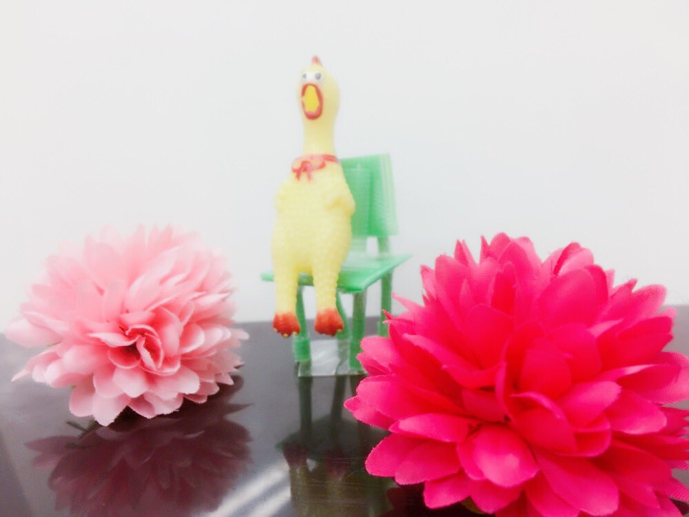 ガーガーチキン愛好会 ガーガーチキン びっくりチキン ガーガーバード 叫ぶチキン 俺には色んな通り名があるけど 本名はシャウティングチキン なんだぜ 知ってたか ガーガーフォト