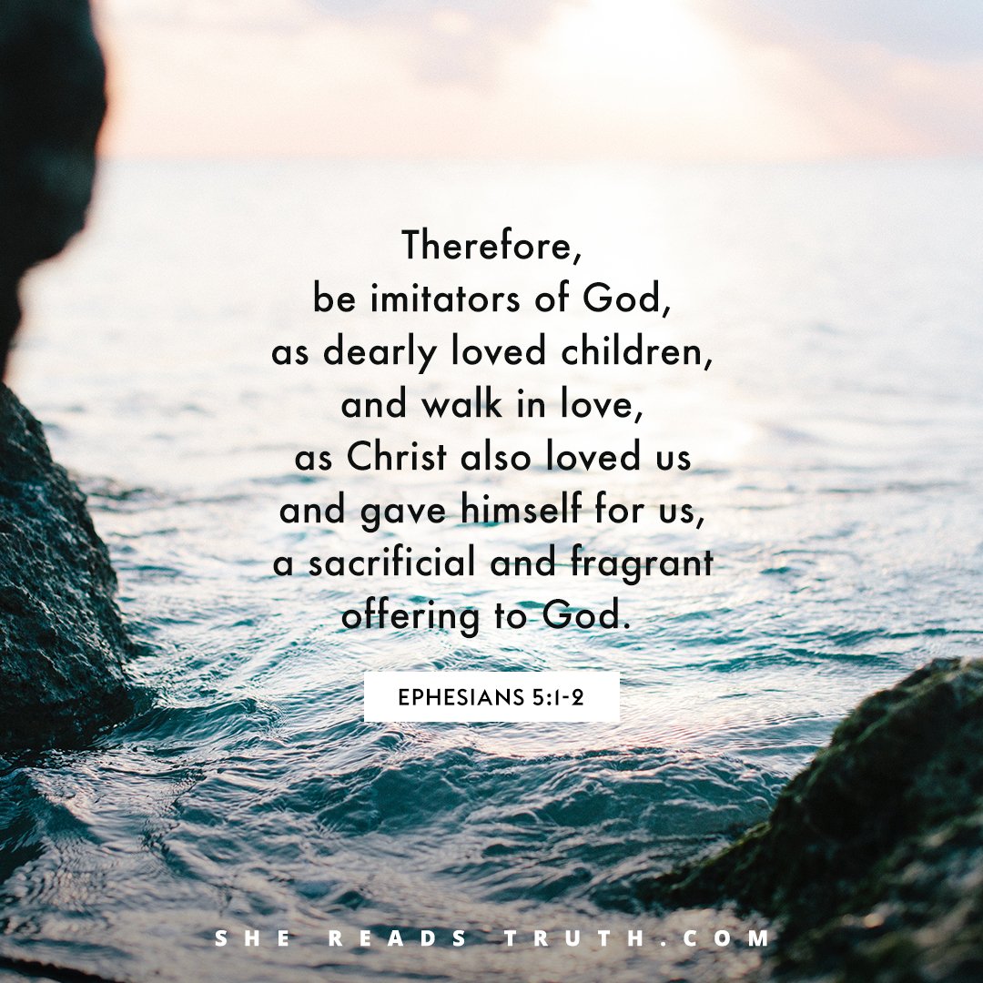 SheReadsTruth's tweet photo. Take this Grace Day as an opportunity to catch up on your #SheReadsTruth reading, pray, and rest in the presence of the Lord. https://t.co/RrOVUe2vit