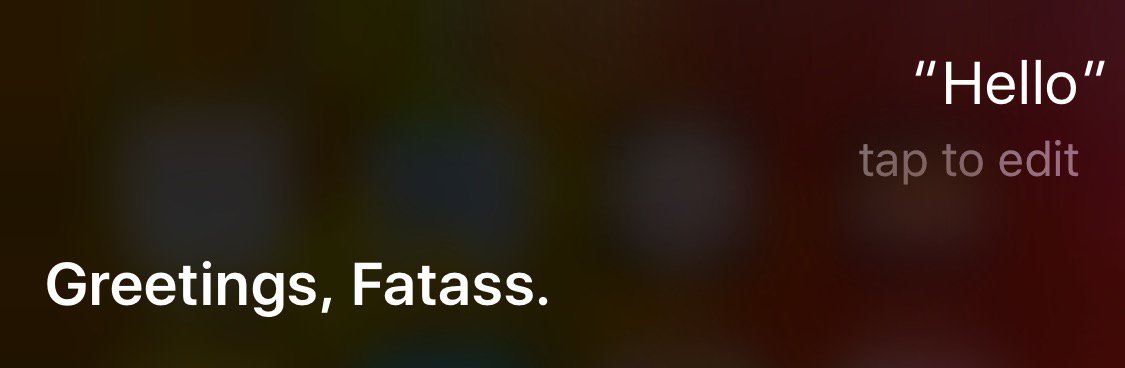 Memeguard's tweet photo. Well my friends, family and even my dog hate me.. atleast I got you Siri https://t.co/CH8E1Quy1x