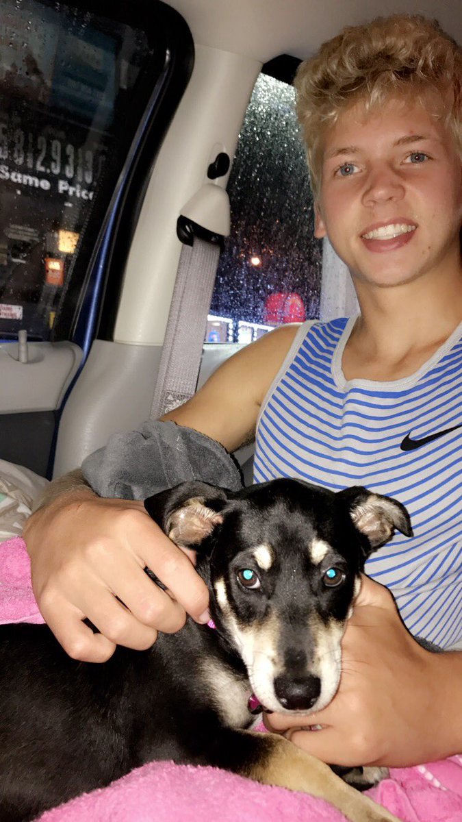 AllysonMae2's tweet photo. Welcome home Marley😍🐶💖 https://t.co/KlVauZj8qF