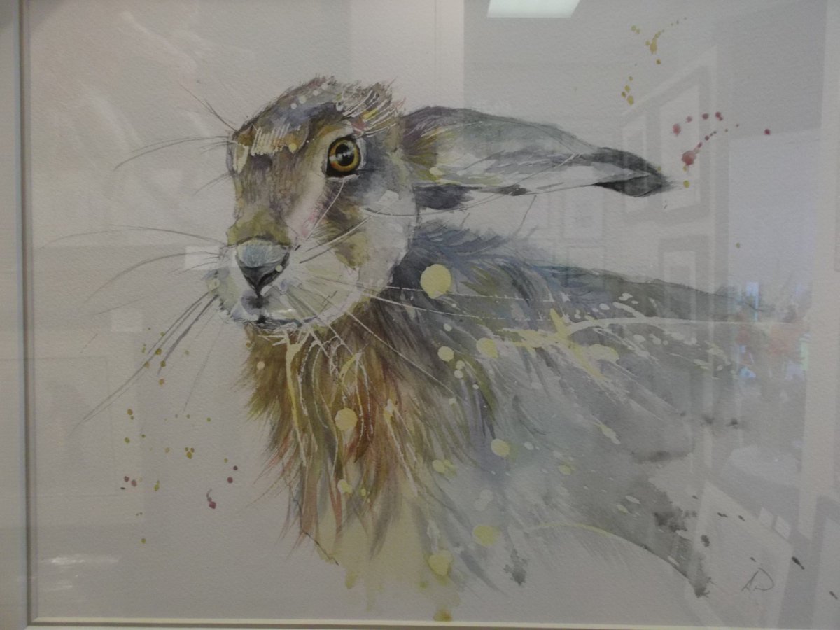 NGKendal's tweet photo. Lovely colourful creatures by Sarah White (nee Weyman) now in store in Kendal  - brighten up your day  with one of her originals!! https://t.co/FXeXVwnkUh