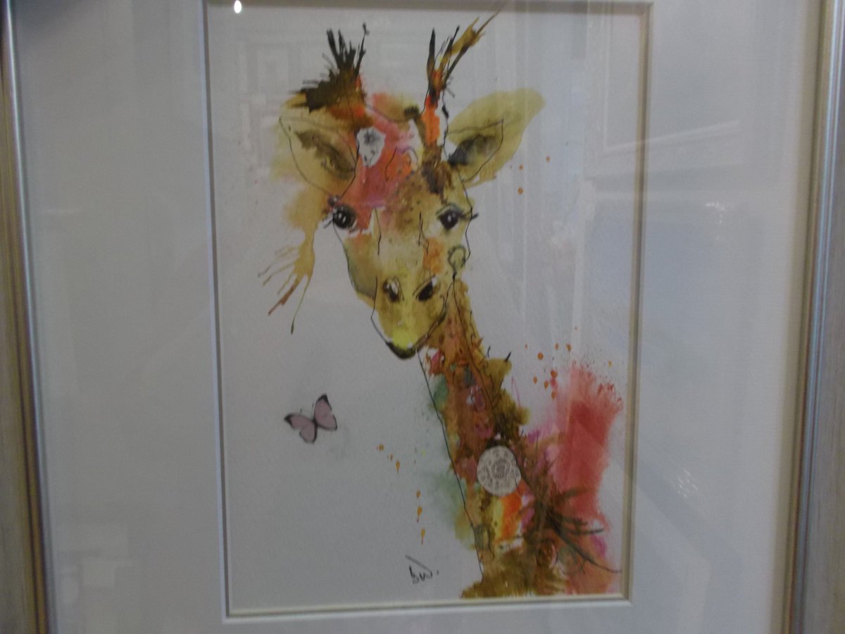 NGKendal's tweet photo. Lovely colourful creatures by Sarah White (nee Weyman) now in store in Kendal  - brighten up your day  with one of her originals!! https://t.co/FXeXVwnkUh