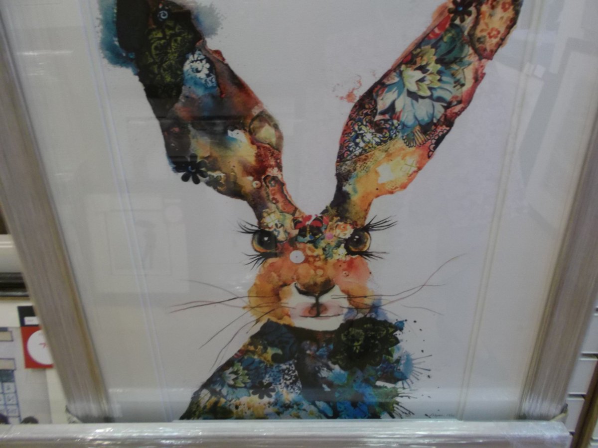 NGKendal's tweet photo. Lovely colourful creatures by Sarah White (nee Weyman) now in store in Kendal  - brighten up your day  with one of her originals!! https://t.co/FXeXVwnkUh
