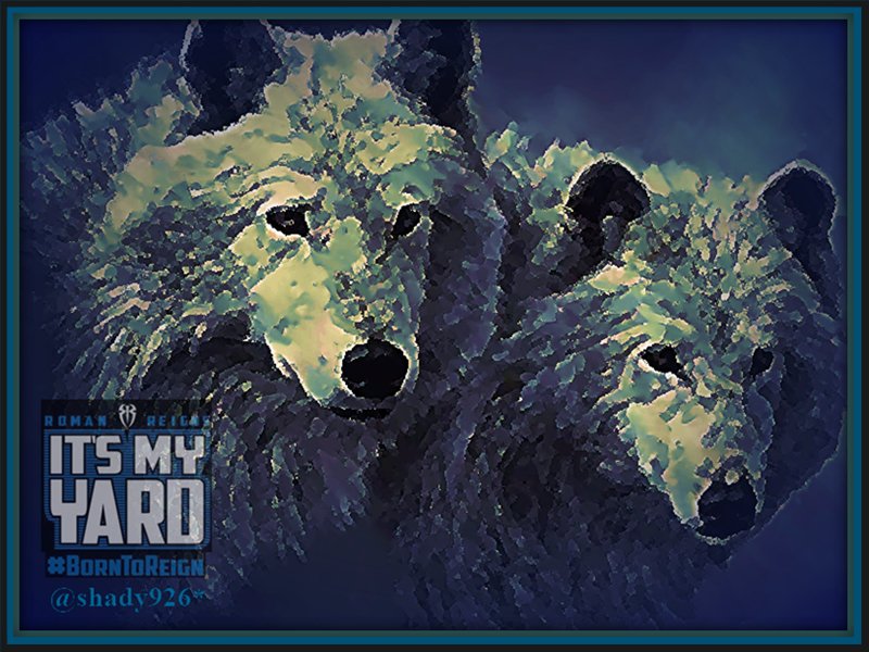 Shady926's tweet photo. @romanreigns568 @April_Showers24 @LeeshaNDessy @dnebel62 @rockfan_86 #Roman we know #TheReal #ThatMatters #TheyCantStickTheExtraCabbage #YourTheGuy #BigDogsYard #BigDogsRules #NowThatsTheReal https://t.co/526Ee6zj2R