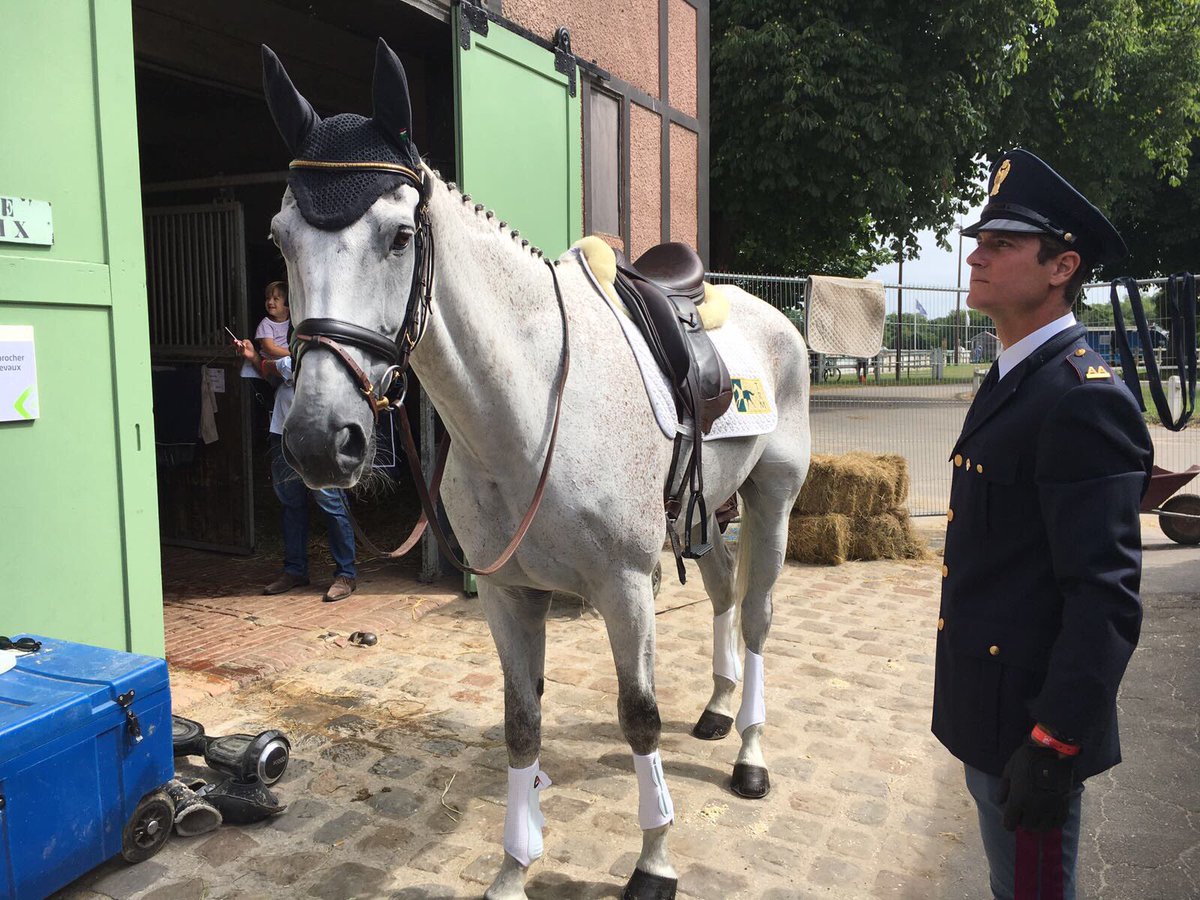 LudovicaBern's tweet photo. #Gigi is ready for his dressage test! #GoGigiGo #ERMeventing #Jardy2017 ๐ค๐ป๐๐ฎ๐น๐ฎ๐ป https://t.co/Hzu6wcotpa