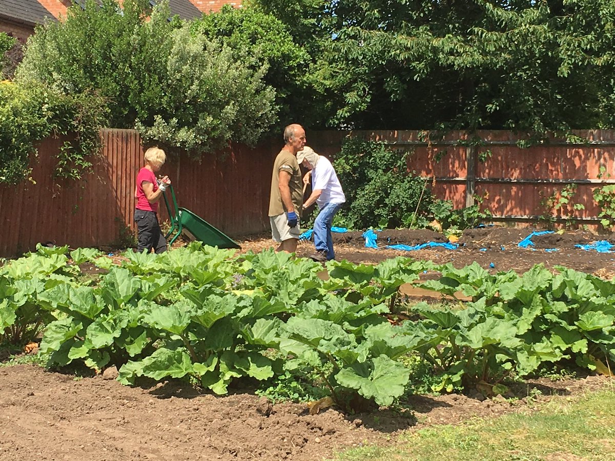 BrendanYoung3's tweet photo. Another Gr8 day @linknurseries1 Well Bean Club Social &amp; Horticultural Therapy 4 all the Community! @MelR4970 @JoGaffneyAHP @OfrahMuflahi https://t.co/ka5q0nyQpD