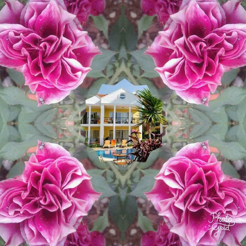 partmezzo's tweet photo. A #happy #weekend and #beautiful #days to #all the #world πΉ
πΆππ΅ππΆ
#Partmezzo #Team
*
#travel #traveler #traveling⦠https://t.co/yWCjaphCvj https://t.co/WPBG1pfMTg