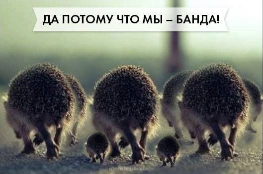 Картинка с надписью потому что мы банда
