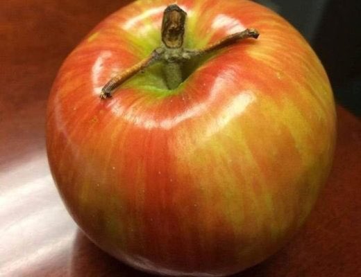 krwns_'s tweet image. Morning