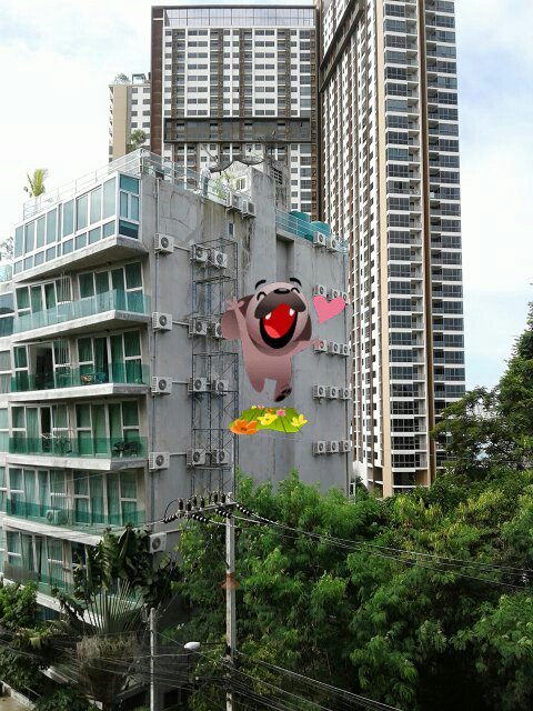 7cyXG's tweet photo. อยากเจอผชพัทยา https://t.co/QhfWBfeGyZ