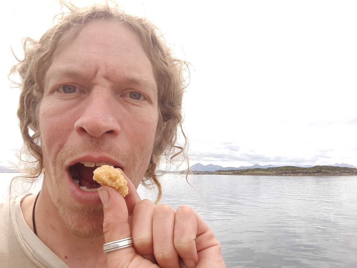 CraigEdibleLeed's tweet photo. I wasn't searchin but found some sea urchins! Out of the water, opened &amp; eaten in 2 mins. Deep oceanic flavour w/ sweet, slight bitter notes https://t.co/5eMMoG4oNM