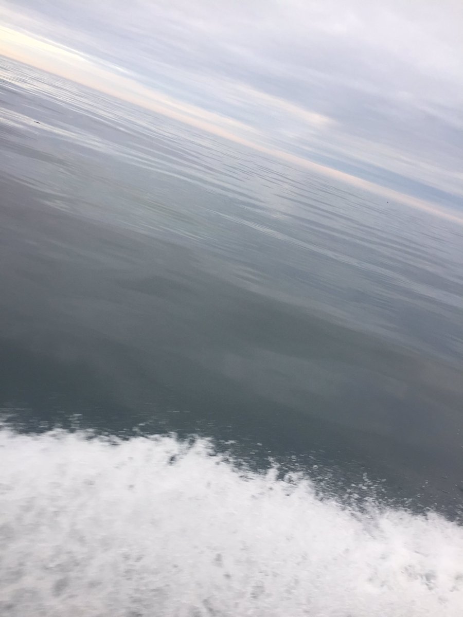 FVNancyAnne's tweet photo. Another beautiful day in the Gulf of Maine. #mainelobster #newshell #flatasscalm @fvhattierose @LobsterFromME @fvwhitneyashley https://t.co/oX85SRn5bR