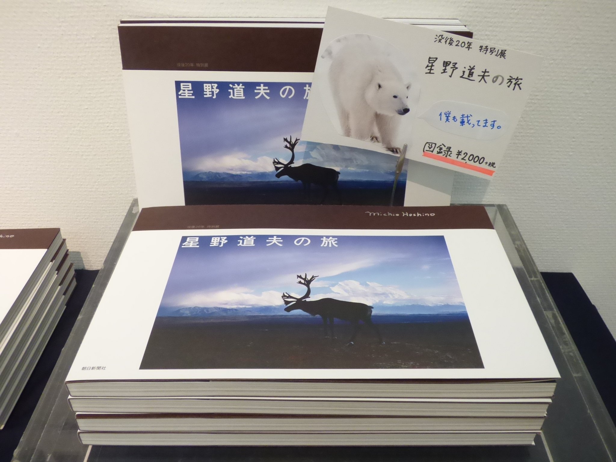長崎県美術館 没後年 特別展 星野道夫の旅 特設ショップでは 出品作品を収録した展覧会図録 2 000 税 を販売しています これがあればいつでも星野さんの写真が楽しめますよ O 長崎県美術館 没後年 特別展 星野道夫の旅 特設ショップでは 出品作品を収録した展覧会図録 2 000 税 を販売しています これがあればいつでも星野さんの写真が楽しめますよ O
