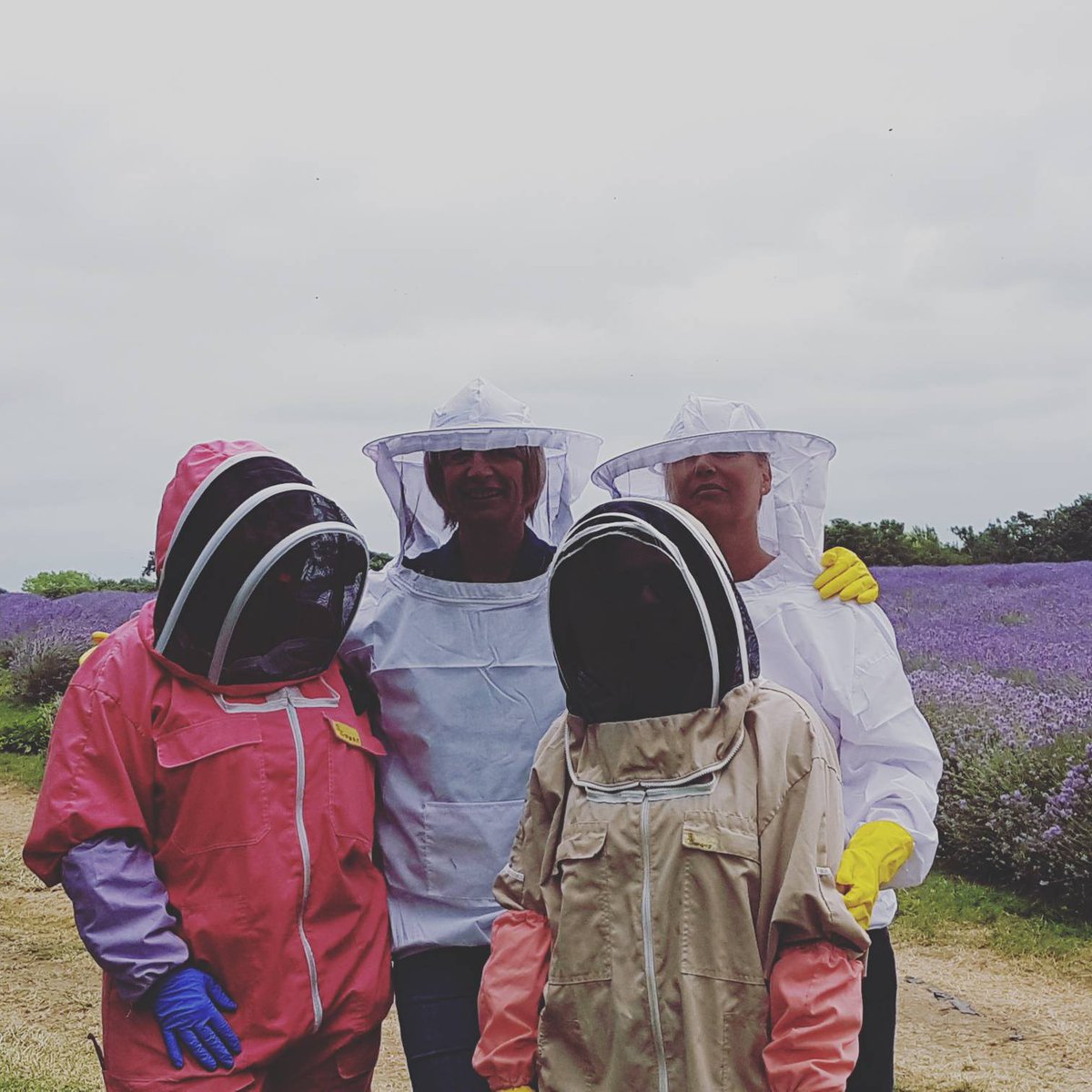 Today's <a href="/nnoodl/">nnoodl</a> advenrure is beekeeping and photography!#nnoodladventure #mayfieldlavender