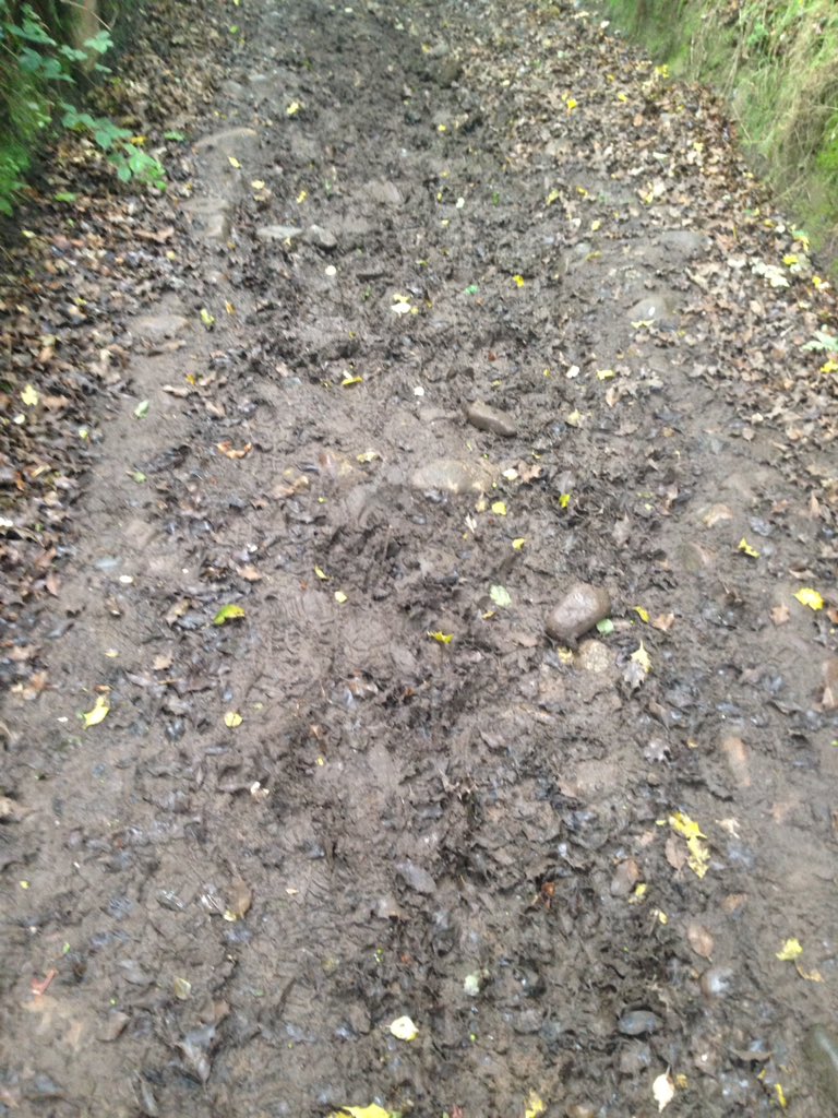 1stMarpleGuides's tweet photo. Muddy boots = inevitable #mbt17
#muddyboot17 https://t.co/wWeybtppWz