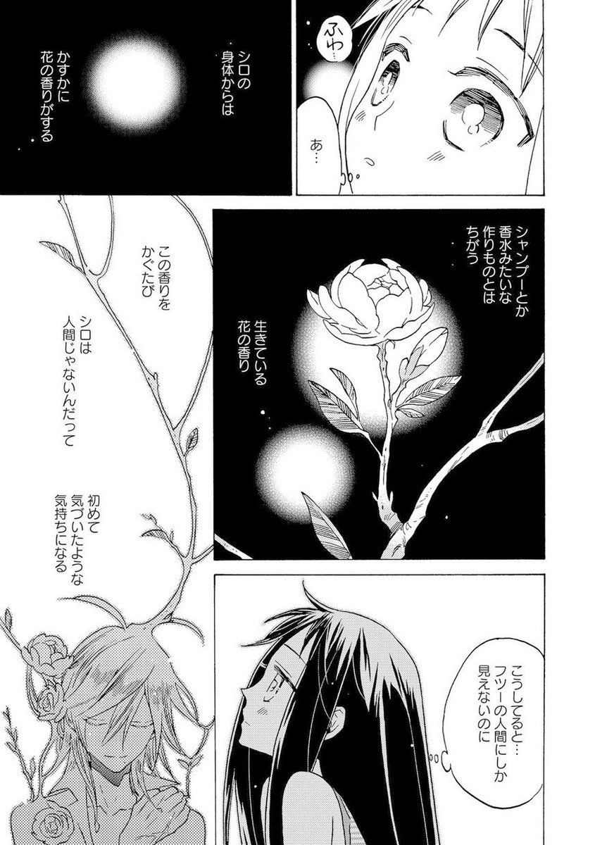Comic It編集部 Twitter वर コミック 秋山シノ先生 Aki Akiko0615 キスの花束をキミに 第８話無料配信中 シロが醸し出す花のような香りと美しい容姿に 乳母の木であることを実感させられたつるは T Co Ssbeuuwnpd T Co Ptzf48zkdp