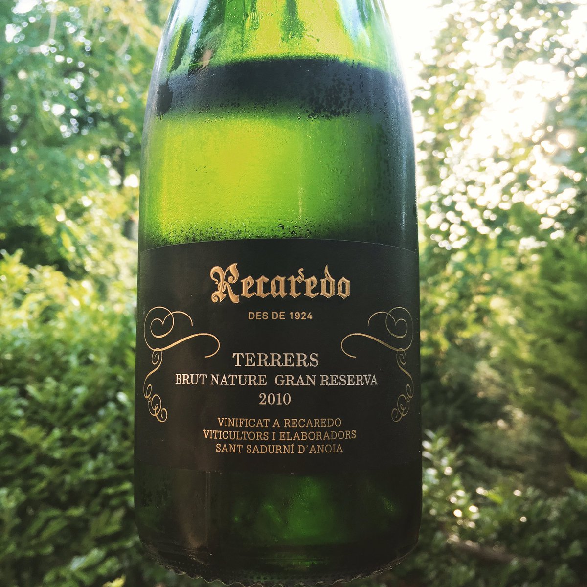 Lenkster's tweet photo. What a fantastic #Cava this was last night from @CavaRecaredo , perfect for easing into the weekend.Available at @PhilglasSwiggot #wine https://t.co/8VbSJVtjqU