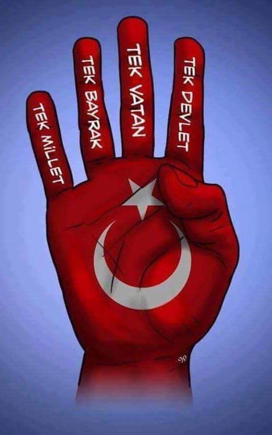 Mehmet ARPACI tweet media