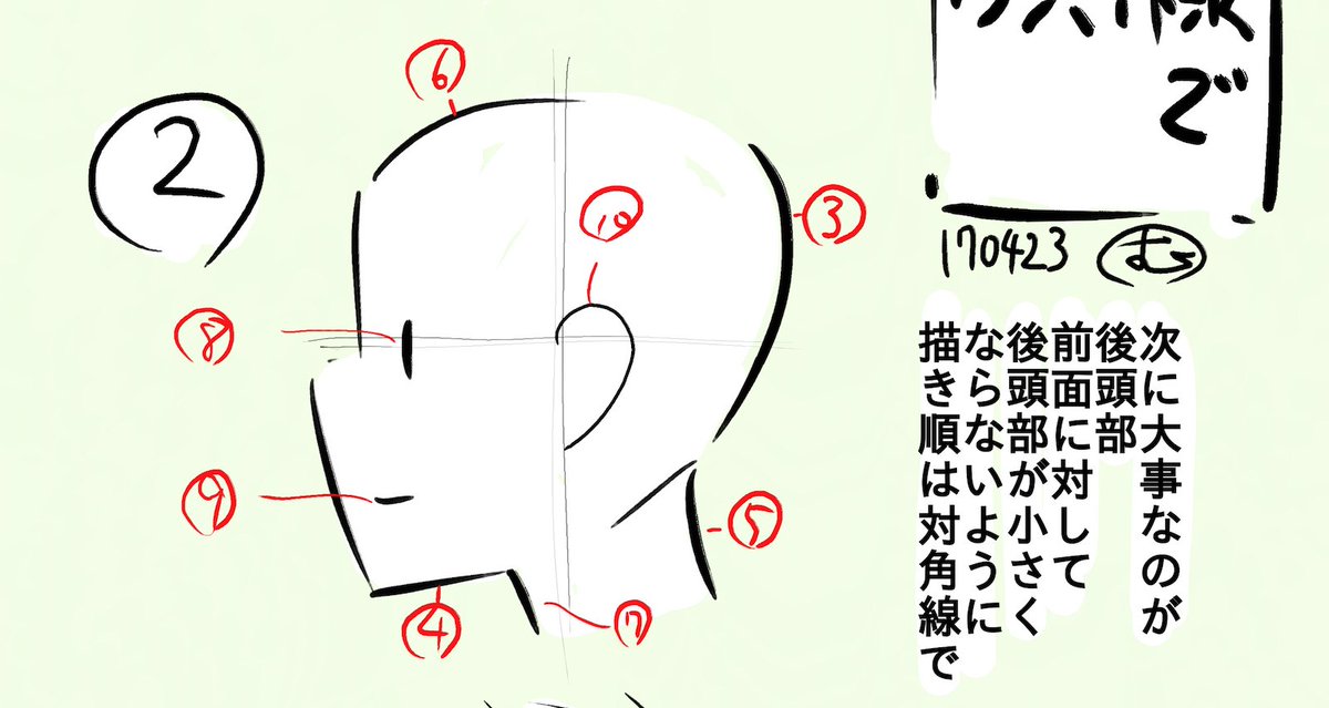 アニメ私塾 Twitter Da 横顔の描き方 オデコと鼻下で２本線で横顔を表現 次に後頭部のアタリをとる 思ったよりも目と後頭部の間は広い 鼻とアゴの間に口 頭全体のほぼ中央に耳 目と頭上の間に生え際など 間 間 で分割して形をとると間違えにくい