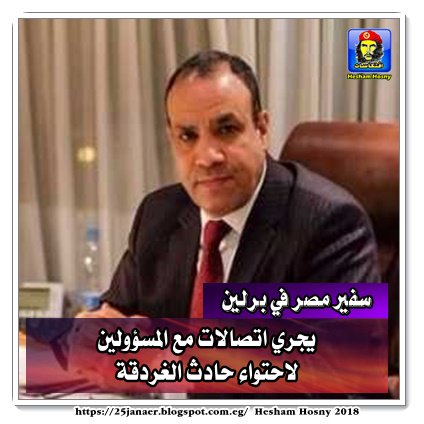 سفير مصر في برلين يجري اتصالات مع المسؤولين لاحتواء حادث الغردقة