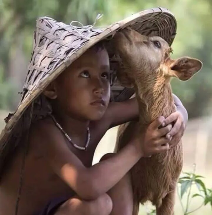 Bonjour Irina!😆💕💕
~>~>💖☆<a href="/irina3529/">Ирина А</a>☆💖~<~< 
Merci magnifique photo!😍😍❤👍👊
Belle journée heureux week-end!😉🌷🌹
Bisous mon amie!😘😚❤👀💕💕💕