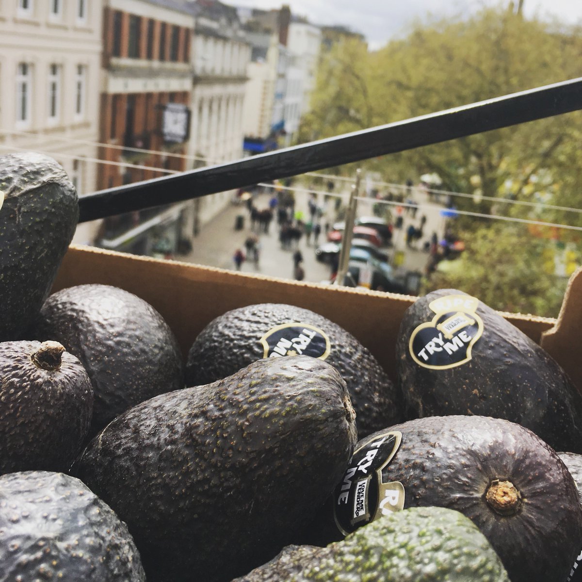 rowan_baker22's tweet photo. Today's avocados have got a the best view! Now open for Lunch 🥑✌️
.
.
.
#jivekitchen #mexican #streetfood https://t.co/7SLJ2nj6ol