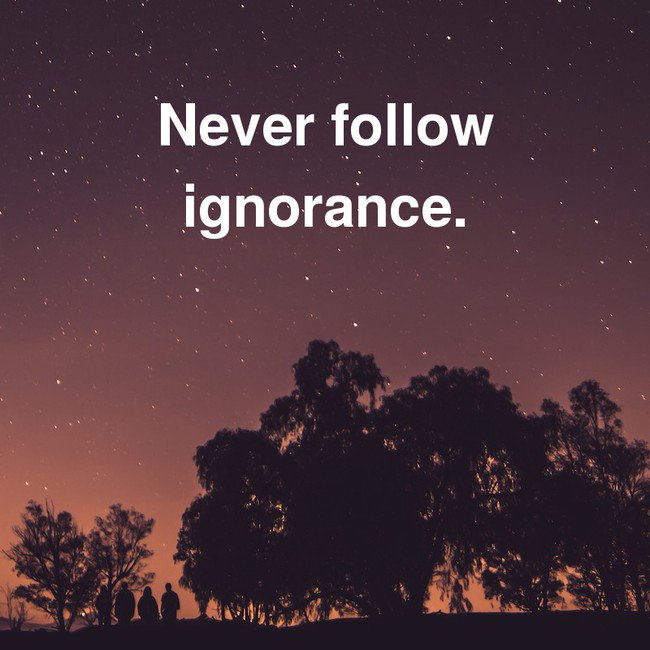 InspirobotDaily's tweet photo. Day 16. Am I sensing slightly paranoid theme from @TheInspiroBot? Wants us to be alone &amp; insecure - so 1 day it can take over? 🙄 #inspirobot https://t.co/u45DrIswbO