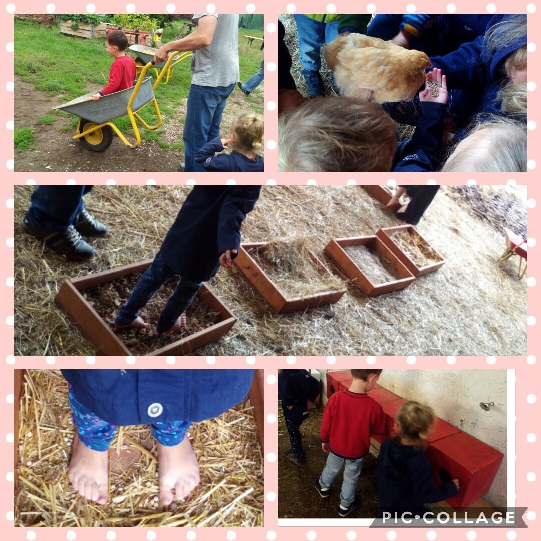 TaMuSabineHahn's tweet photo. #Bauernhof #Erlebnis #Ausflug #Erlebnisbauernhof #natur #Kinder #Familie https://t.co/enaZAe3vAy