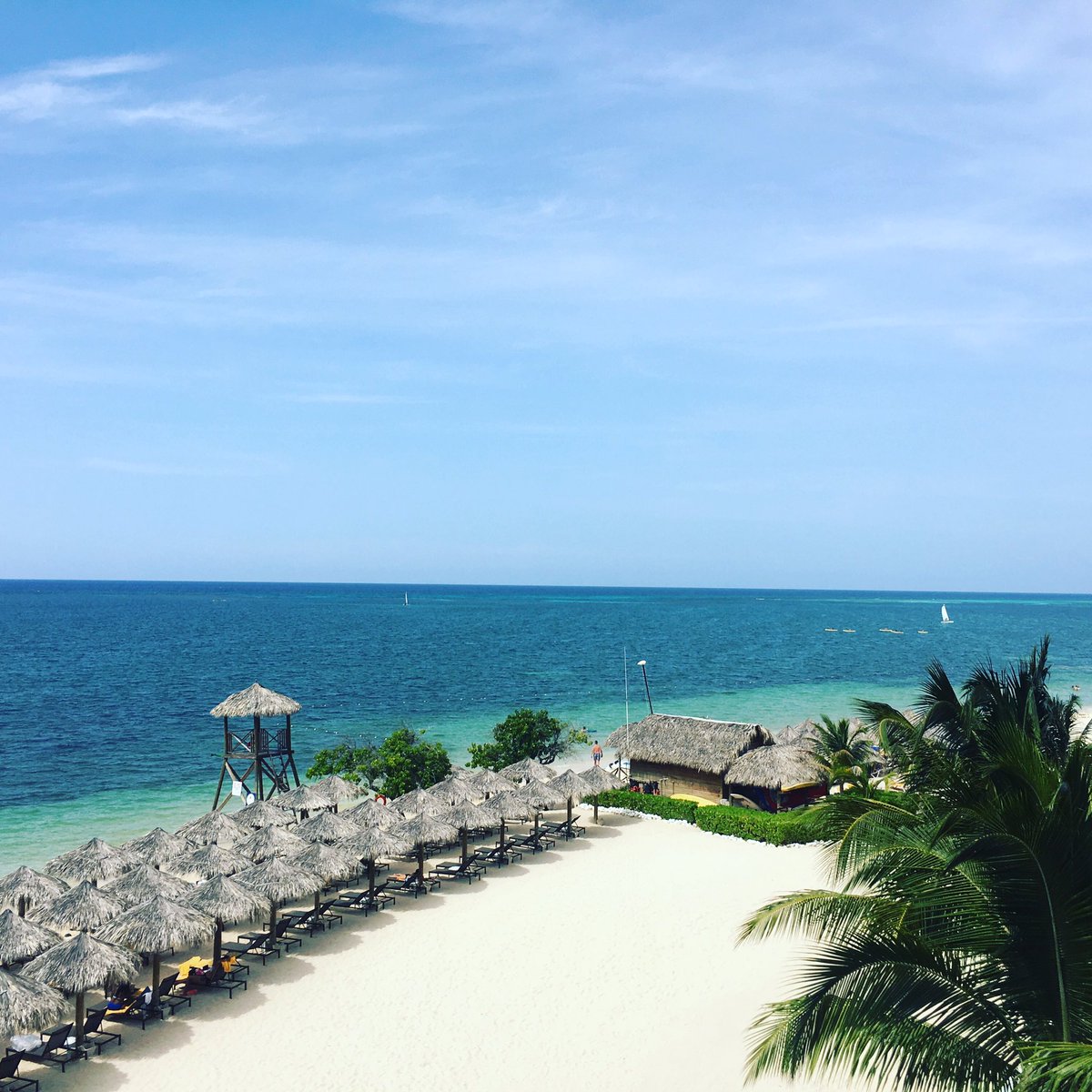 clccicchinelli's tweet photo. Life's a beach when you stay focused on your goals. #allin #prtakesjamaica https://t.co/ju7cvnVdyZ