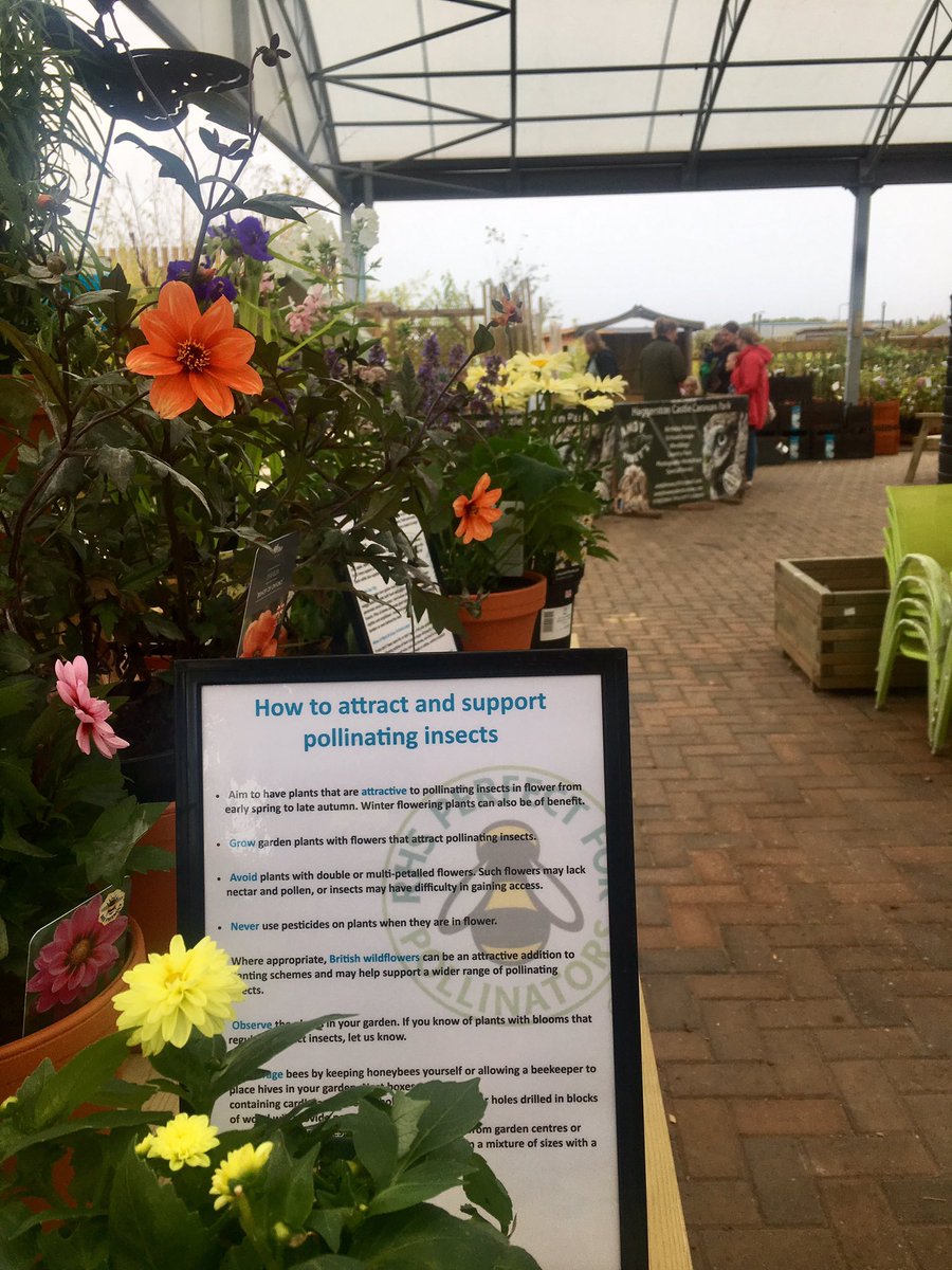 DunbarGC's tweet photo. Have you popped down to our free Wildlife event today? The rain has passed and it's brightening up nicely in #Dunbar #earlothian #familyfun https://t.co/0DfWu7GdkU