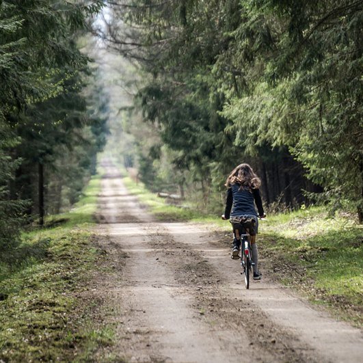 PolkaBikes's tweet photo. Marta i Piotrek z @patykiempisane udowadniają, że #Bagażówka to prawdziwe #rowery wielozadaniowe! Na bezkrwawe pol… https://t.co/YqLNe1SMXX https://t.co/SkWSRta5ft