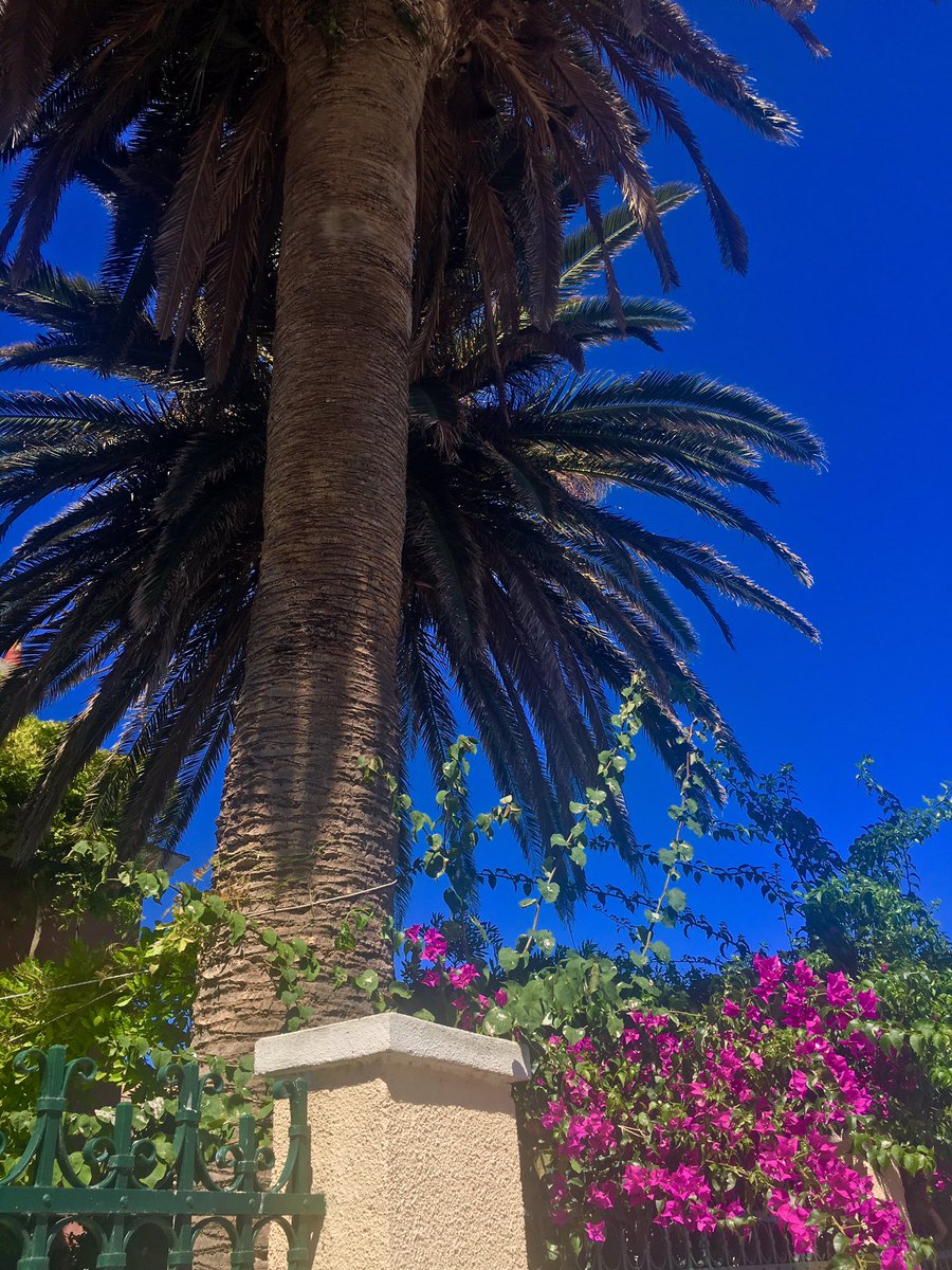 joekirkby_'s tweet photo. Alghero: https://t.co/CMPHbJQg6O