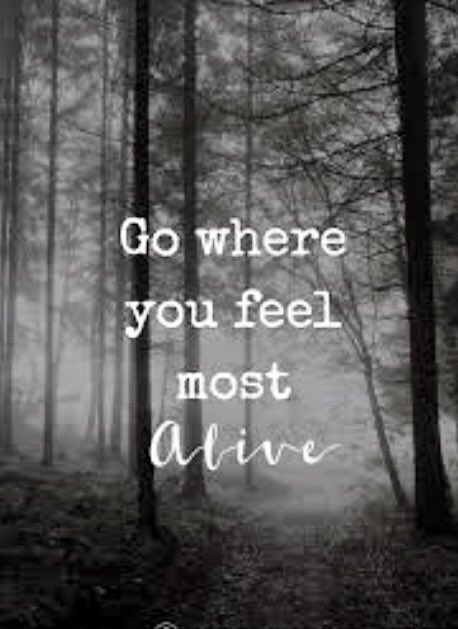 orifb's tweet photo. Wherever you feel most alive is where you should be. Find that place and be there. #bethere #onethoughtaday #saturdaymorning #findthatplace https://t.co/xNie8c7b67