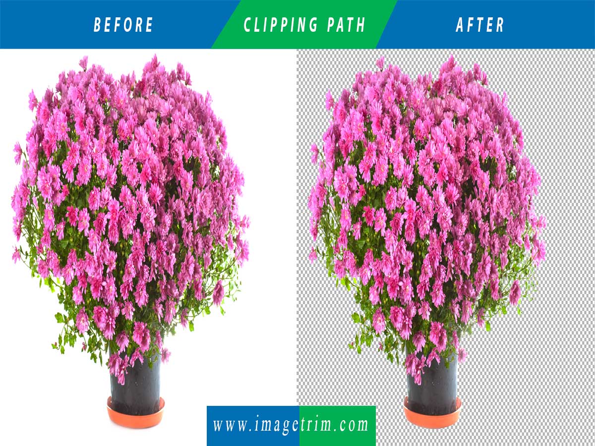 ImageTrim1's tweet image. Clipping path is the requirement of all kinds of Photoshop image editing. 
Contact Us:imagetrim.com