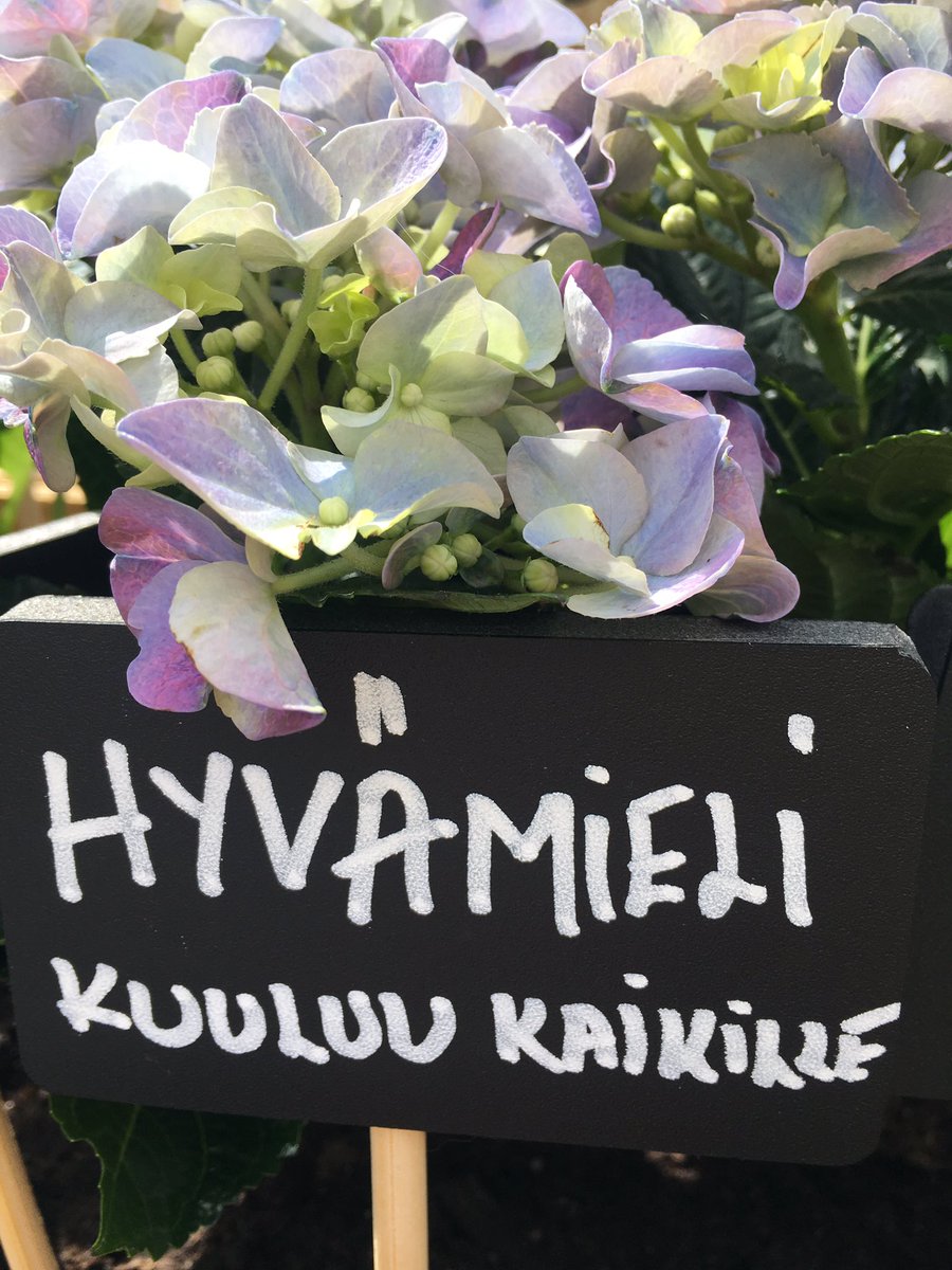 PiaHytonen's tweet photo. #Muutosterassi'lla @SuomiAreena istutettiin yli 1100 muutostoivetta! Hienoa! Minun toive #hyvämieli kuuluu kaikille! #eijätetäketäänyksin https://t.co/7FhGxpGXbW
