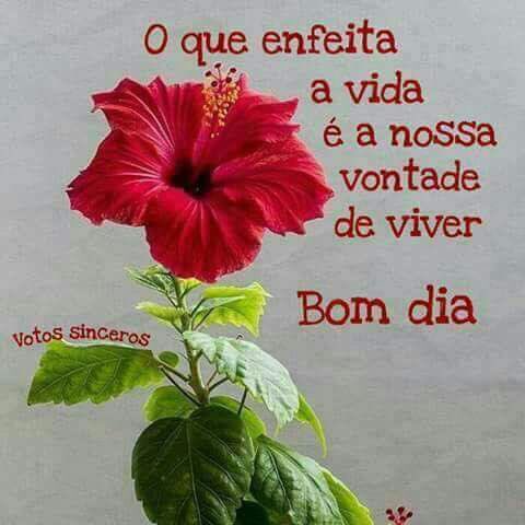 cecioliveira33's tweet image. #BetaQueLab