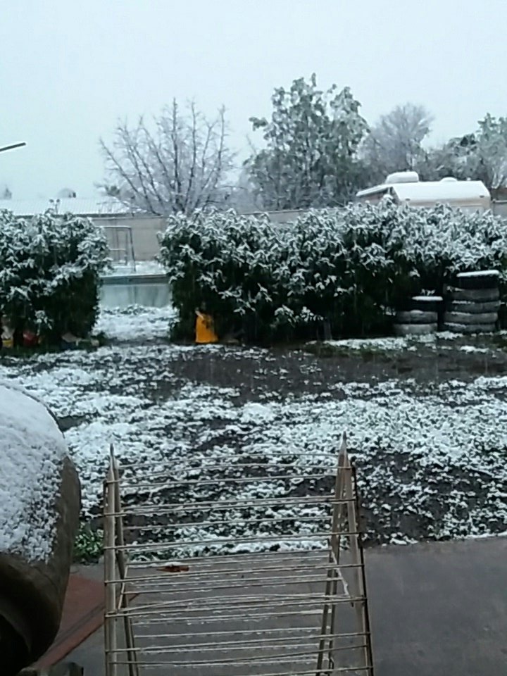 macarenacova's tweet photo. @Bienvenidos13 nevando en rinconada de los Andes 😊 https://t.co/N9d1nUy2jm
