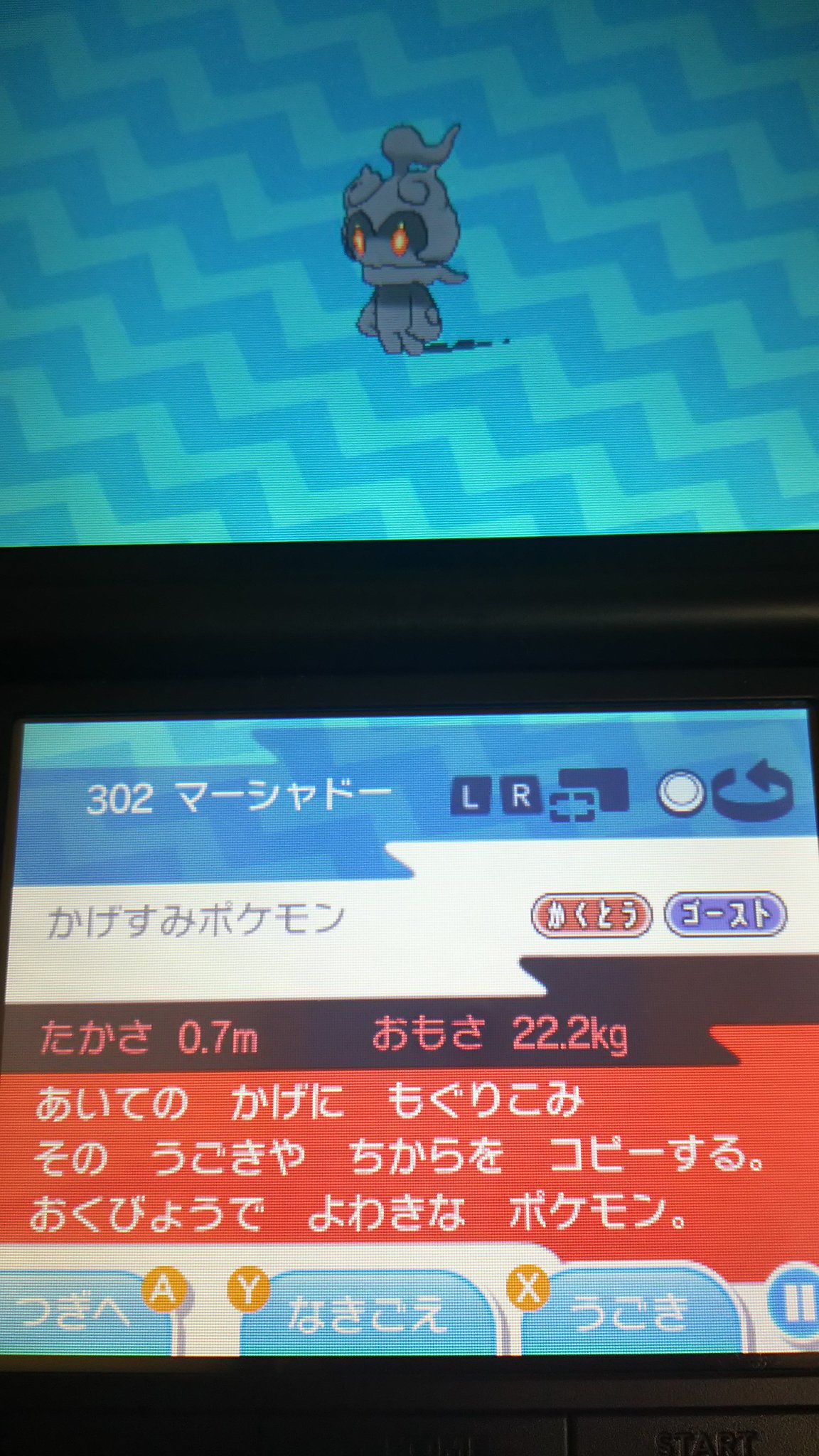 センジ マーシャドー かげすみポケモン あいての かげに もぐりこみ その うごきや ちからを コピーする おくびょうで よわきな ポケモン ポケモンずかん ポケットモンスタームーン T Co Bfu5kg2pan Twitter