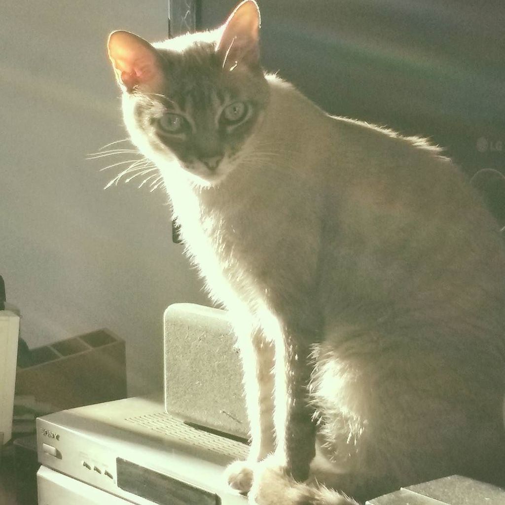 saliel's tweet photo. #solzin #twitter https://t.co/CLS3kZZcE5 https://t.co/URMW0feObb