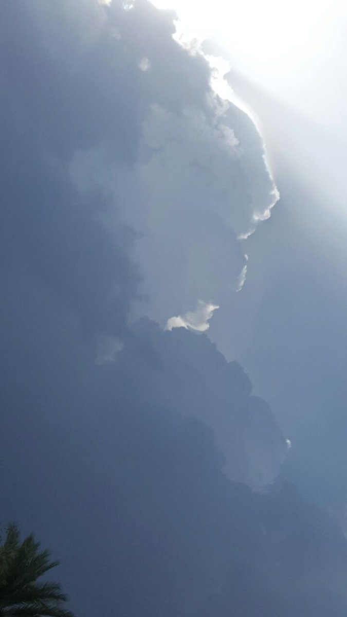 الوضع غرب قرية المهاب.. صحم
تصوير العضو.. حمدان المزيني