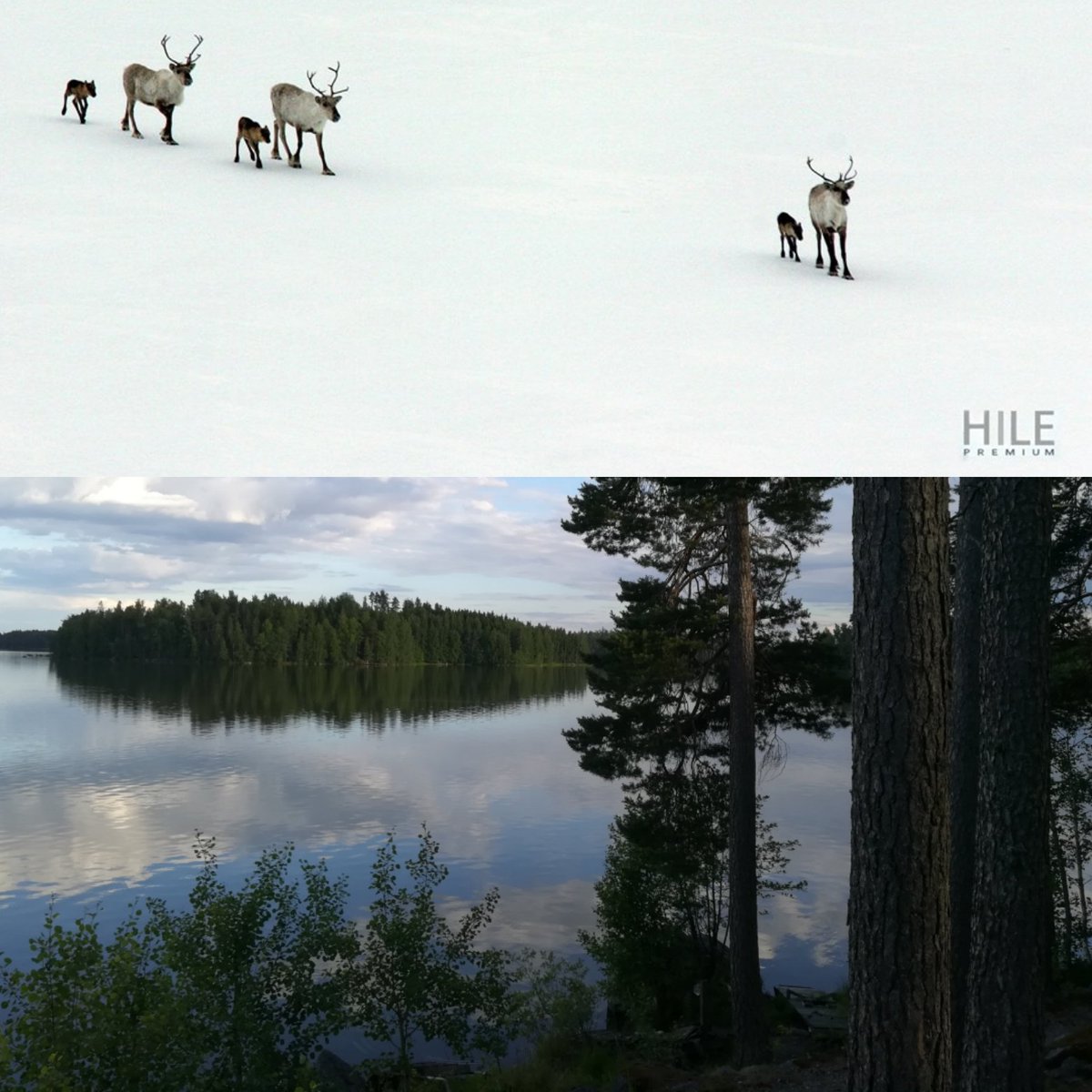 KivelaMarkus's tweet photo. #Finland summer And winter 2017 #Hilewater #pure natural https://t.co/JDmHGnNK3D