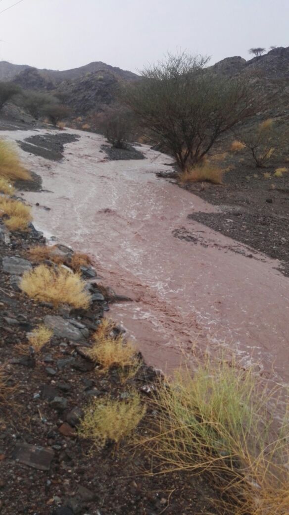 جريان الشعاب غرب وادي المحموم.. صحم

تصوير. العضو. سعيد المزيني