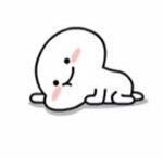 hoshmds's tweet photo. plops on the floor. ah. https://t.co/ot7Puj8kDz