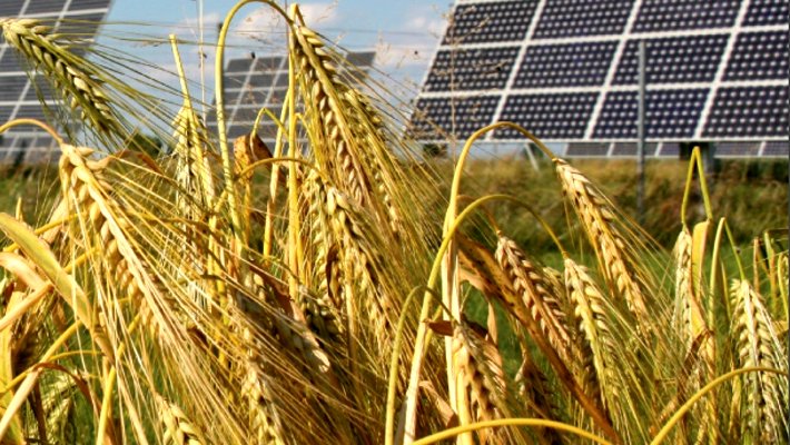 solartribune tweet picture