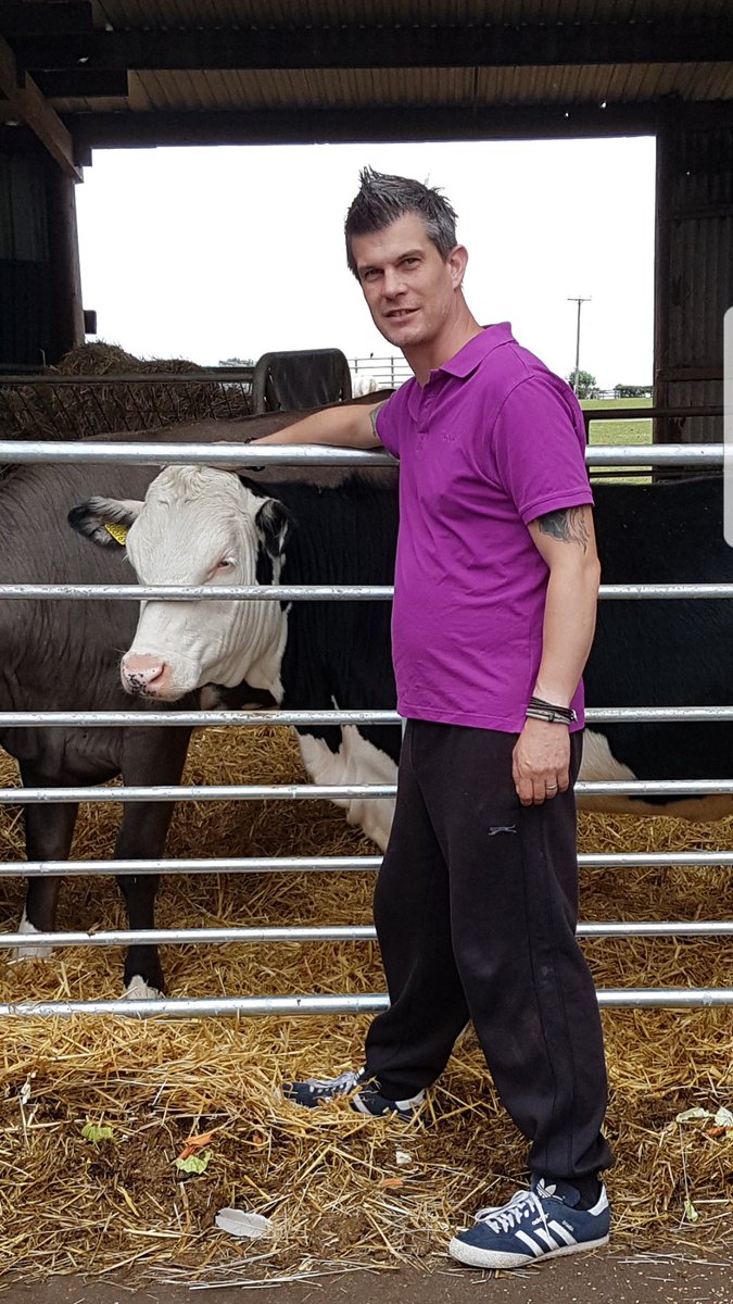 oneball1975's tweet photo. #therapy #cowskill #fearthecow #cow https://t.co/WRcmAcvP5R