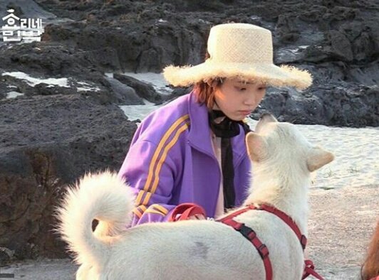 allaboutIU's tweet photo. Staring game with IU 👀
Goose vs Dog 😁 https://t.co/px5E4SPPgh